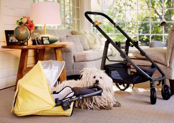 Tuy không nhiều đồ vật trang trí đắt tiền nhưng căn nhà có không gian khá ấm cúng.    