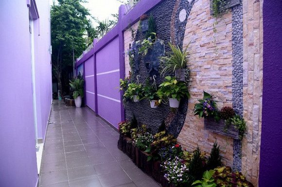Gam màu tím chủ đạo