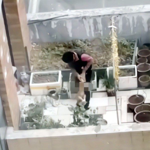 Hình ảnh khiến nhiều người phẫn nộ.
