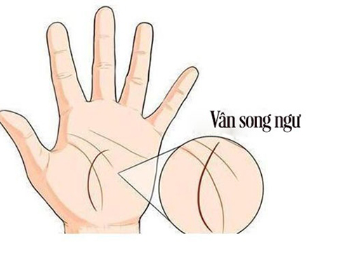 vantay3