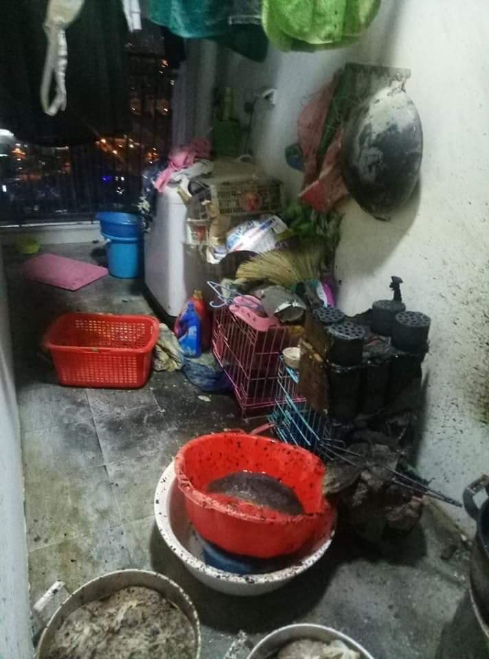 Căn hộ chung cư cao cấp đun bằng bếp than tổ ong gây cháy. 
