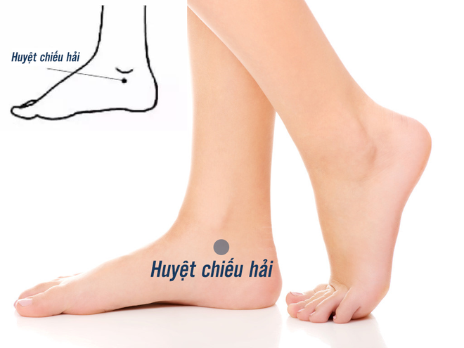 huyetchieuhai