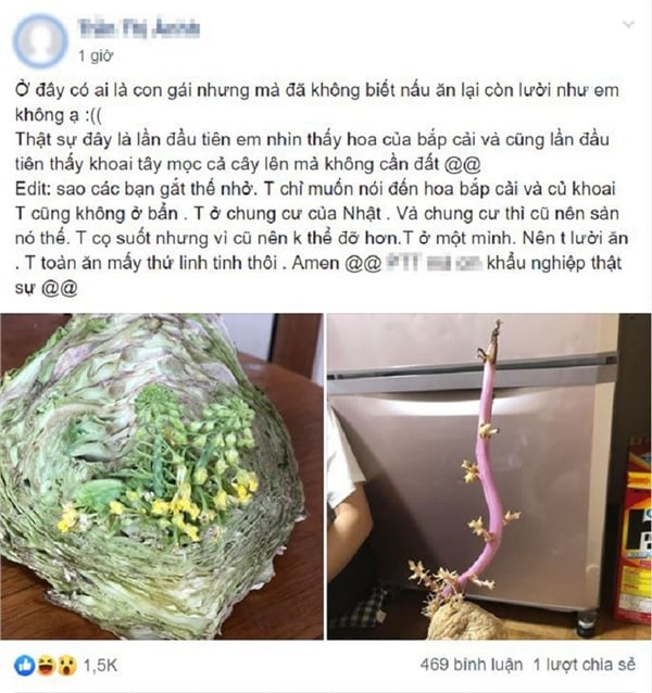 Câu chuyện gây được sự chú ý trên mạng xã hội.