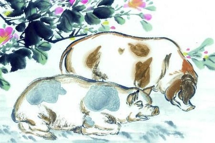 Hợi kém may mắn trong 60 ngày tới