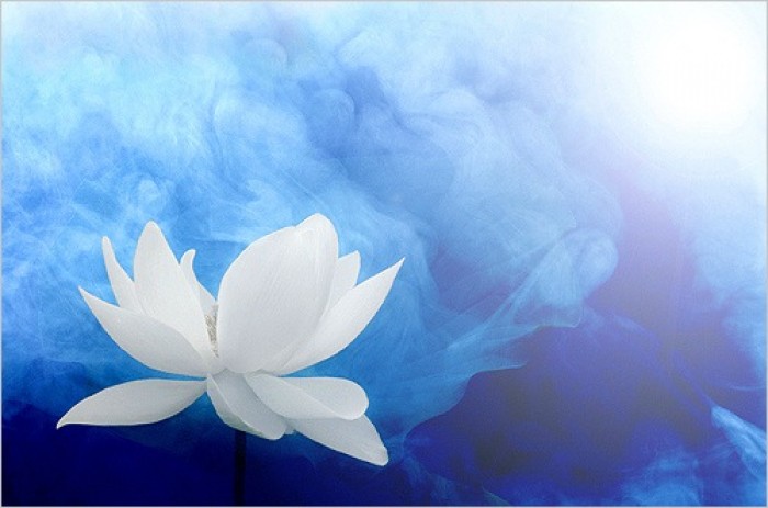 nhan-qua-bao-ung-chi-la-som-hay-muon-ma-thoi