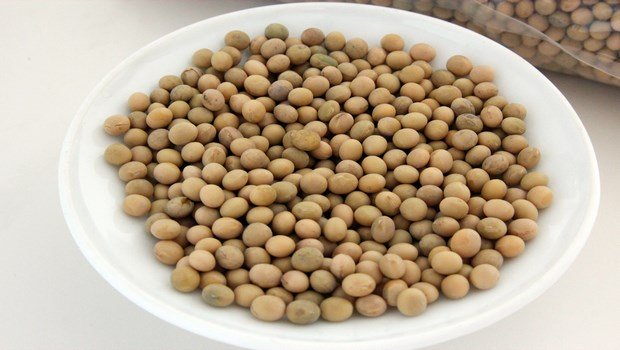 Dậu nành nhiều canxi giúp trẻ cao lớn