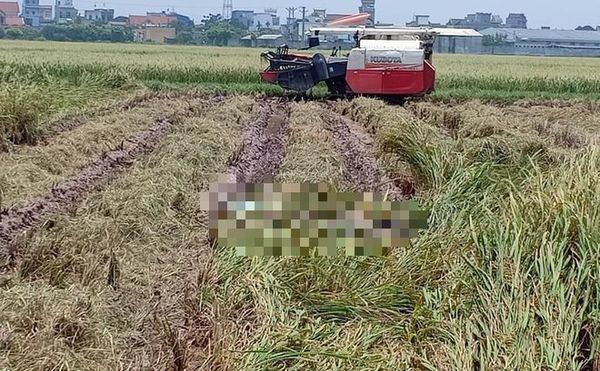 Hiện trường phát hiện thi thể nạn nhân. Ảnh: Trí Thức Trẻ.