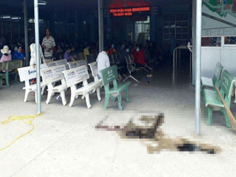 Hiện trường vụ việc. Ảnh: PLO.