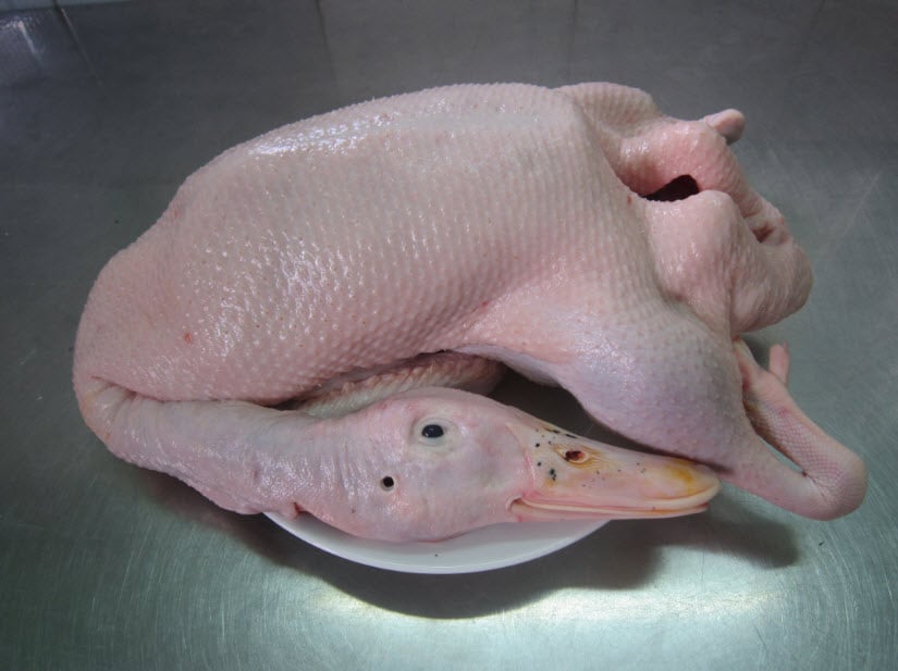 Vịt căng mịn chắc thịt