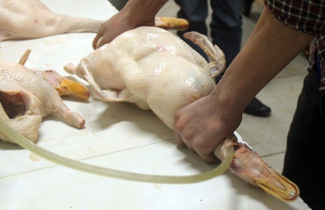 Chọn vịt có độ đàn hồi tốt