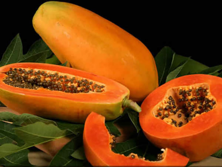 Đủ đủ giúp tăng cường hệ miễn dịch cho trẻ