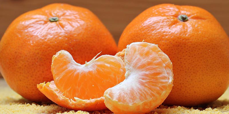 Cam quýt cho nhiều vitamin c ăn buổi tối gây bệnh Shbet123 Link Vào ShBet Mới Nhất cho bé
