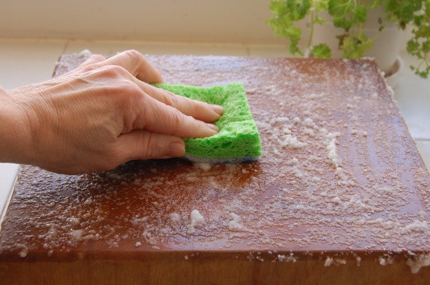 Thớt vô cùng nhiều vi khuẩn