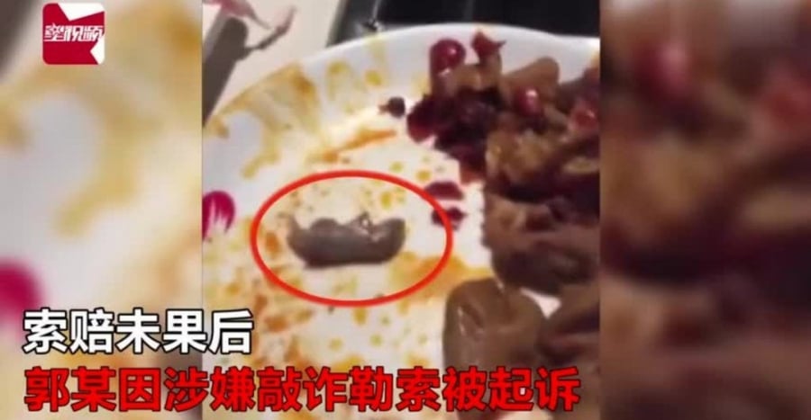 Người đàn ông tự thả chuột vào nồi lẩu của mình rồi bắt nhà hàng bồi thường.