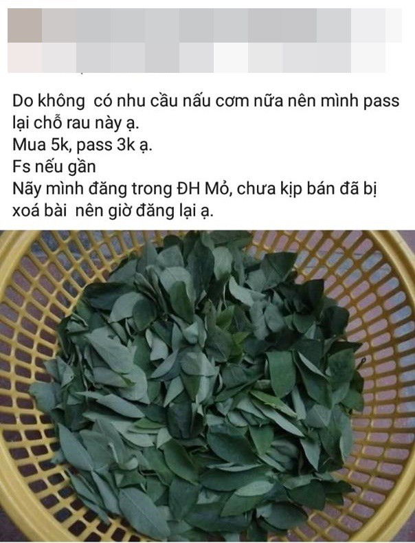 Cô nàng bán lại rau ngót trên mạng xã hội.