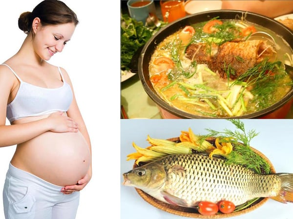Cá chép tốt cho não bộ của thai nhi