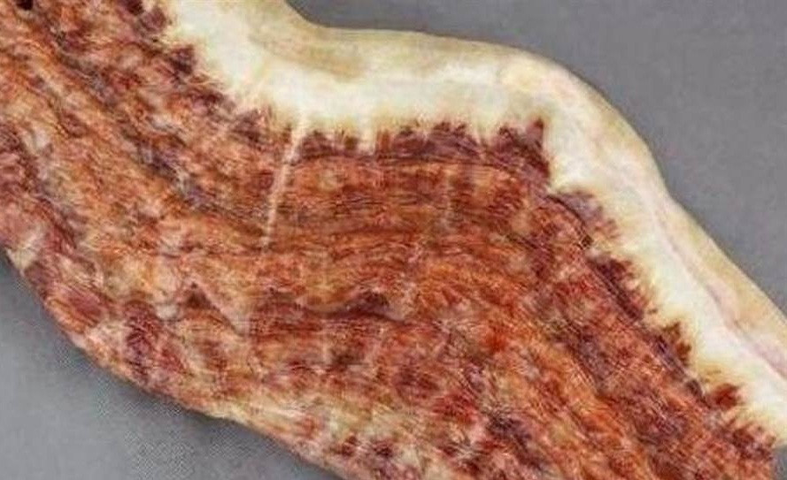 Viên đá hình miếng thịt lợn.