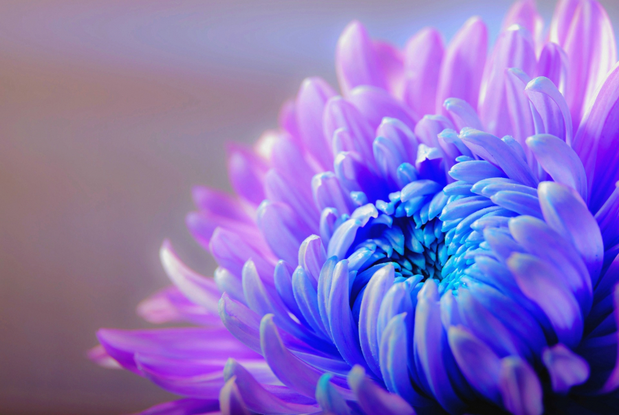 E2303607-11A3-4B7B-8A2B-4BDA9E4938F0