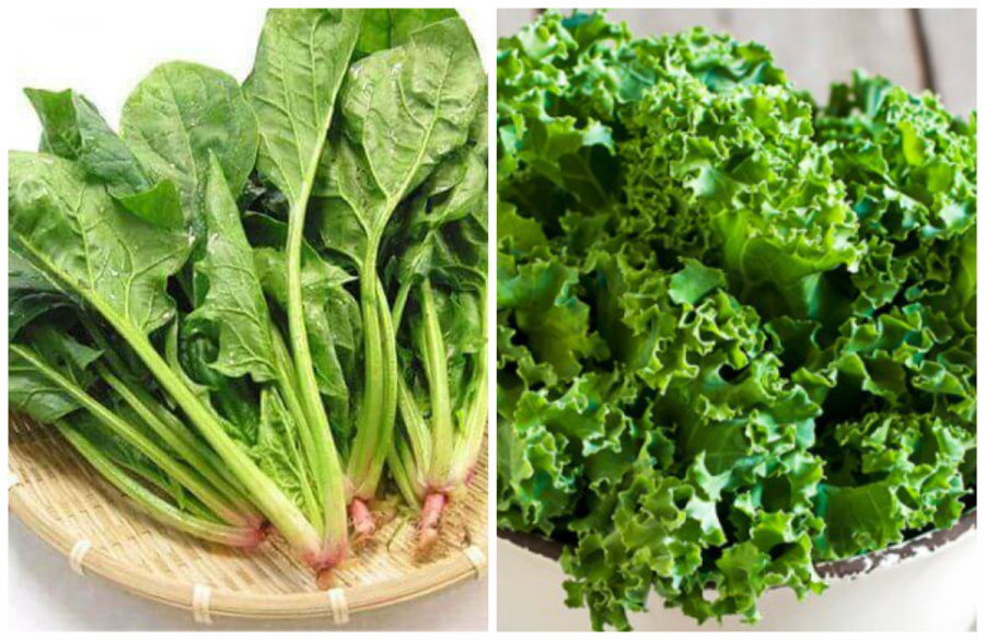 Rau cải xoăn không nên luộc