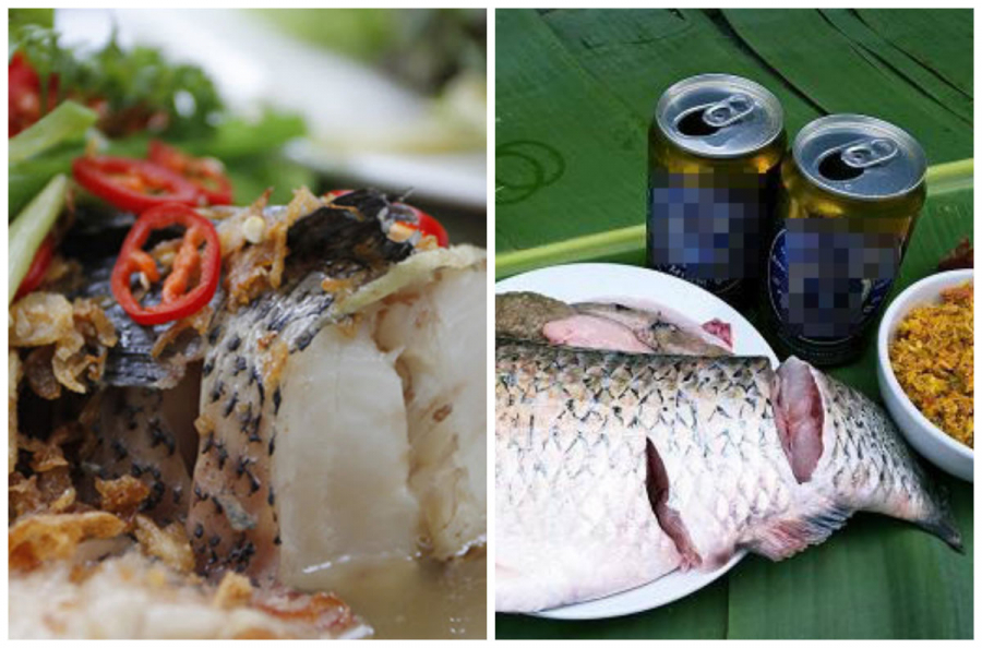 Bia hấp cá 