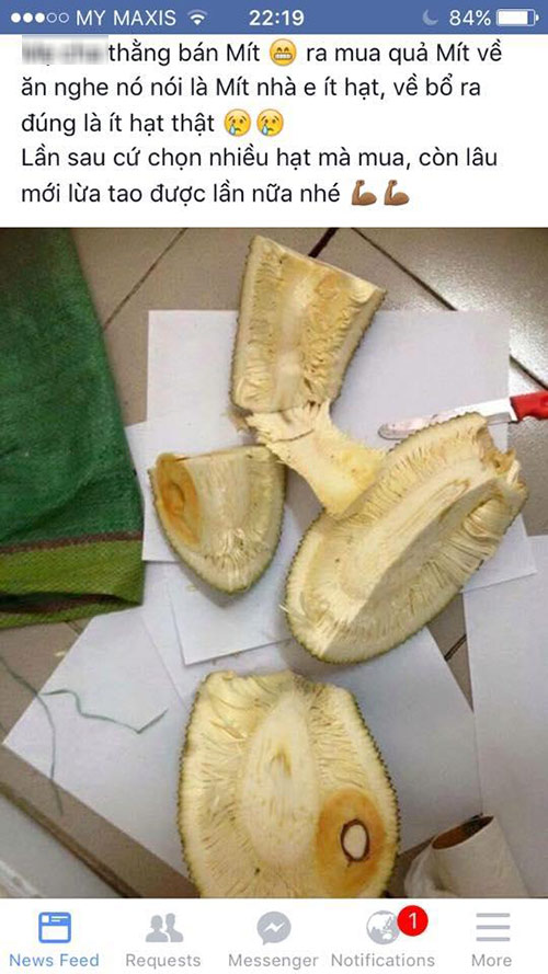 Qủa mít chỉ có 1 múi duy nhất.
