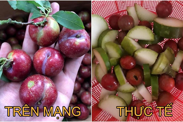 Hình ảnh trên mạng và sản phẩm nhận về phũ phàng.