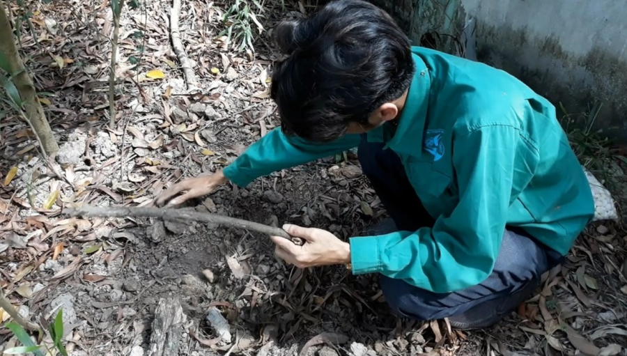 Nơi được cho là chôn xác thai nhi.