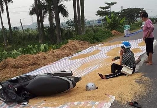 Người phụ nữ ngã xe vì đi vào đoạn đường đang phơi thóc.