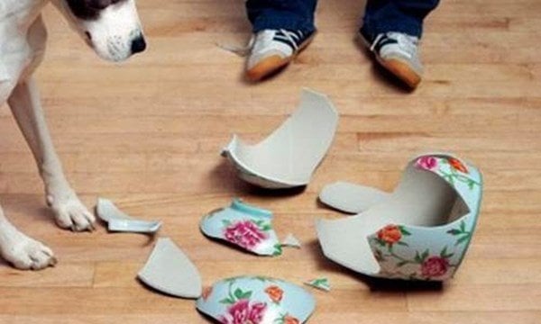 Đồ đạc thường xuyên đổ vỡ điềm xấu
