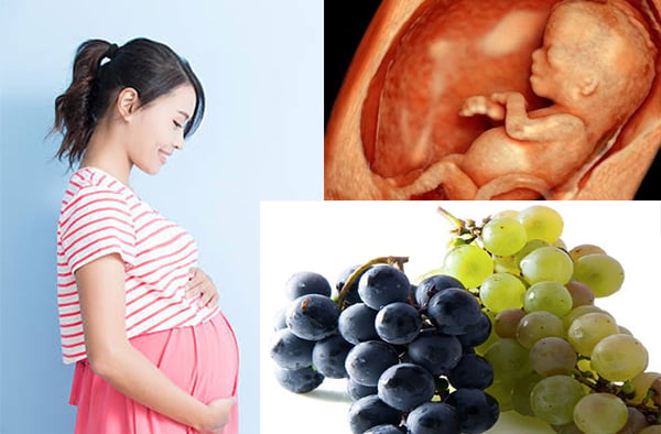 Ăn nho giảm ốm nghén
