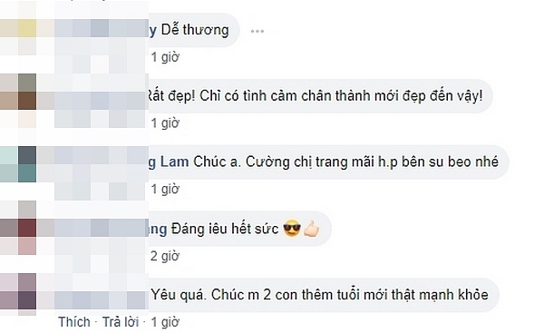 dang-anh-chuc-mung-sinh-nhat-con-trai-ha-ho-dam-thu-trang-bi-mia-039f4c