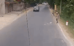 Hành động của người phụ nữ được rất nhiều người khen ngợi.