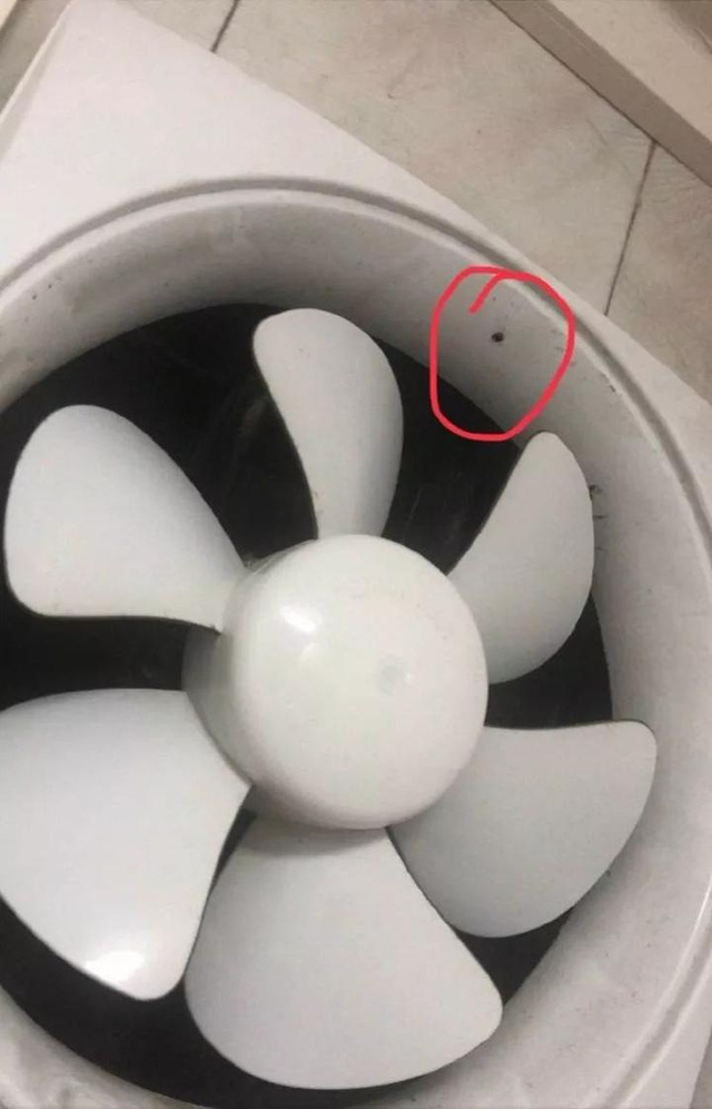 Chiếc camera được phát hiện trong chiếc quạt thông gió.