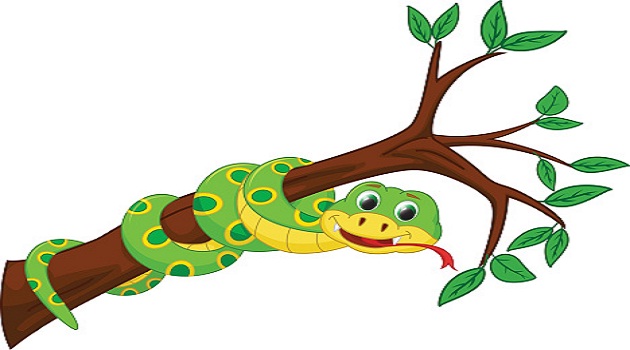 Tuổi Tỵ kém tài lộc trong tháng 6 âm lịch
