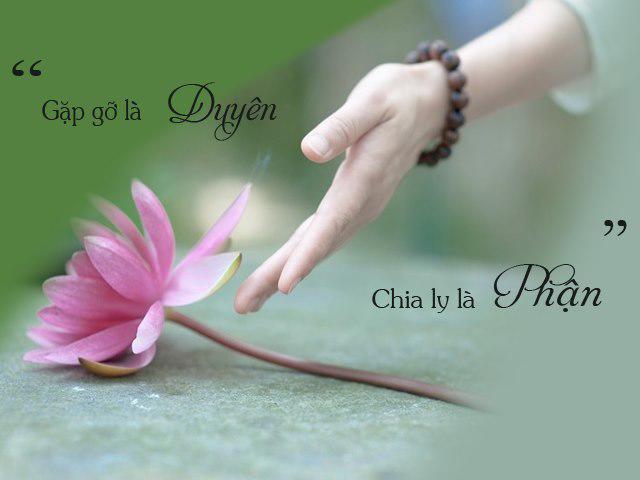 co-gai-hoi-phat-vi-sao-yeu-10-nam-van-phai-buong-bo-cau-tra-loi-khien-co-bat-khoc-62166406_449144022328328_4200310606252736512_n-1560229303-111-width640height480