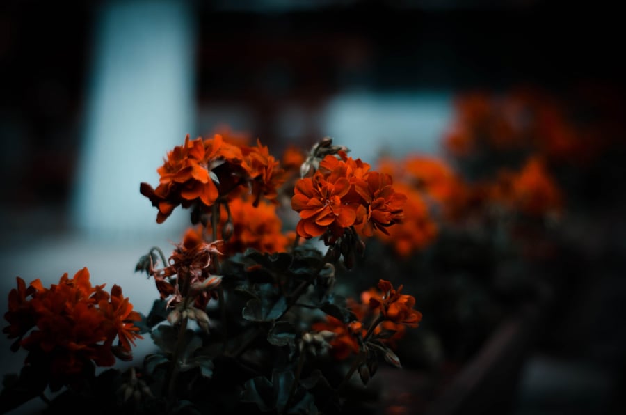 Empty