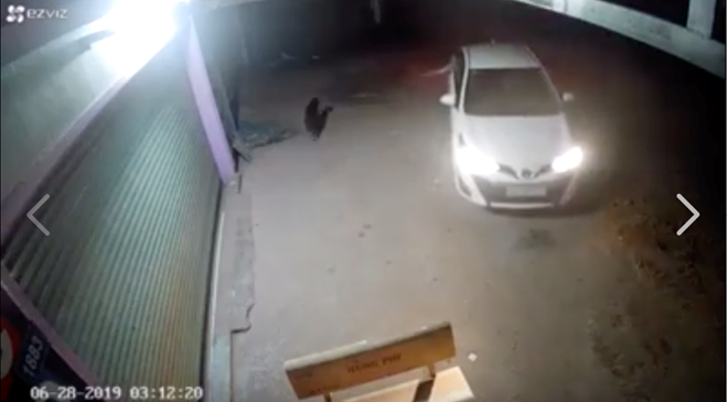 Thanh niên rút súng bắn chú chó đang đứng ở vỉa hè.