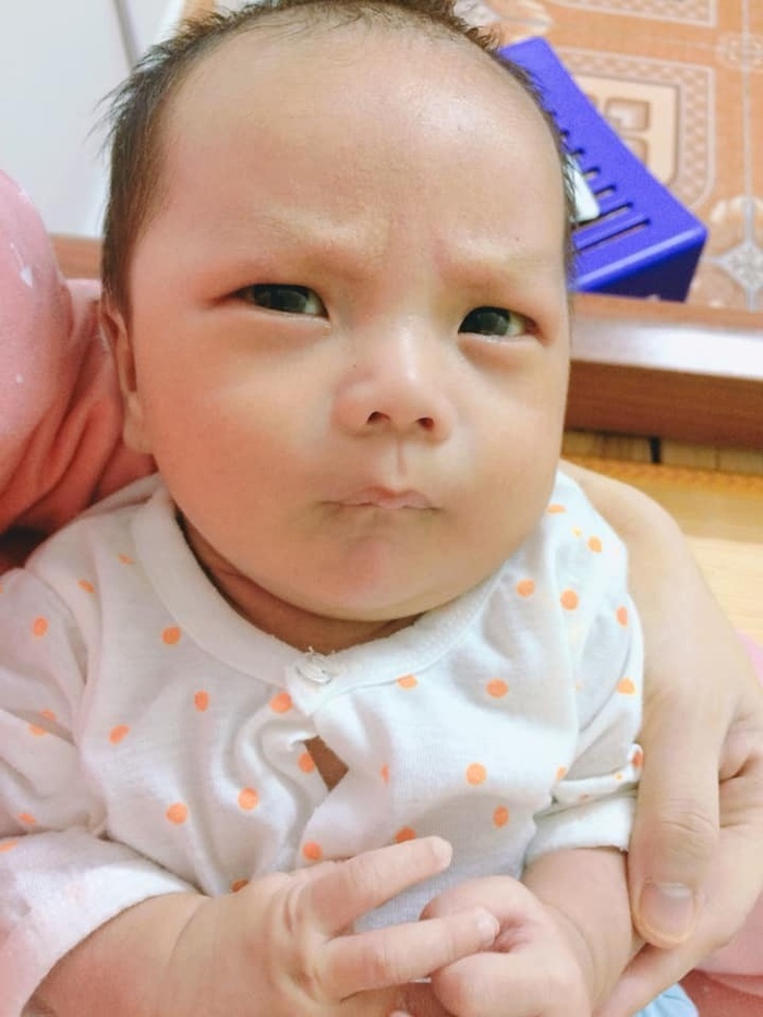 Hình ảnh này khiến ai nấy đều bật cười.
