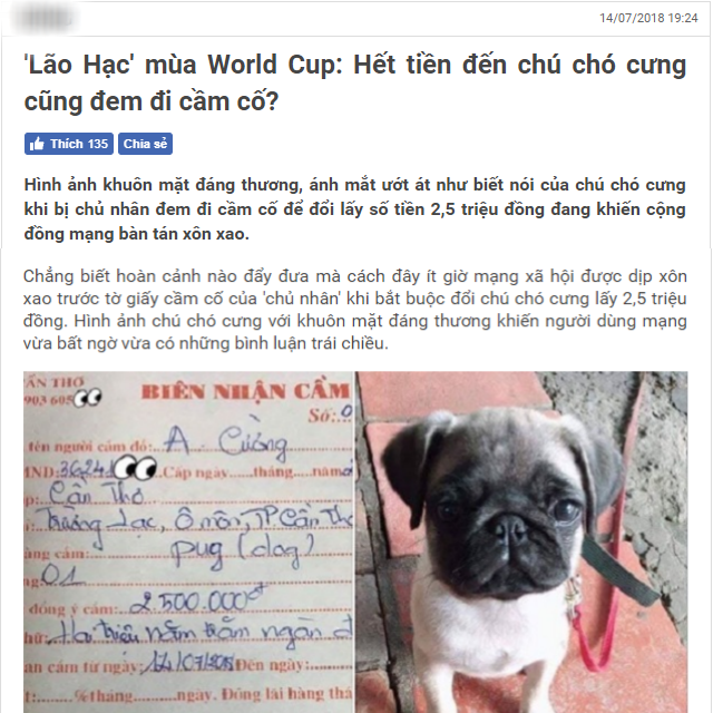 Chú chó được đem đi cầm cố cách đây 1 năm.