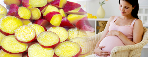 Khoai lang giúp giảm ốm nghén