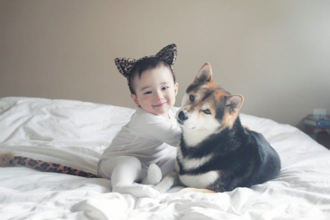 Cha mẹ cần hết sức lưu ý khi cho trẻ chơi với thú cưng