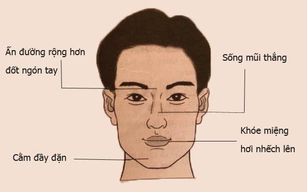 Người đàn ông mũi thẳng thông minh giàu có