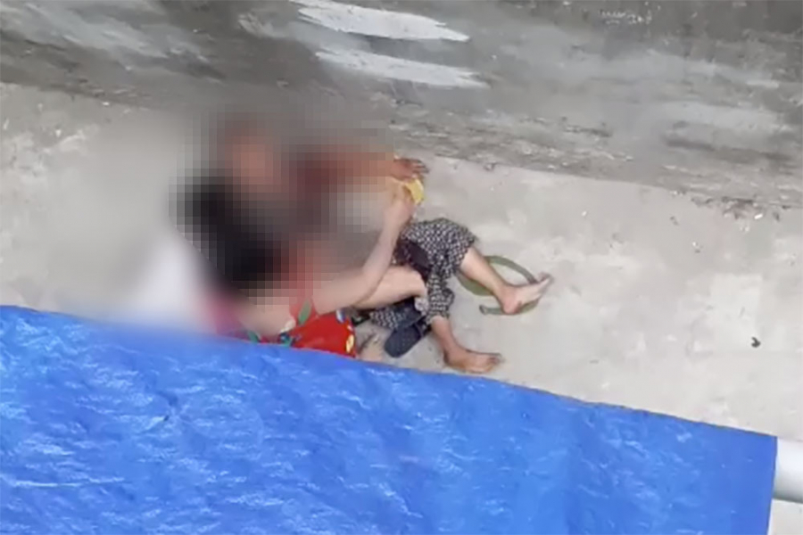 Cụ bà bị con chó nhà cháu ngoại lao vào cắn xé.