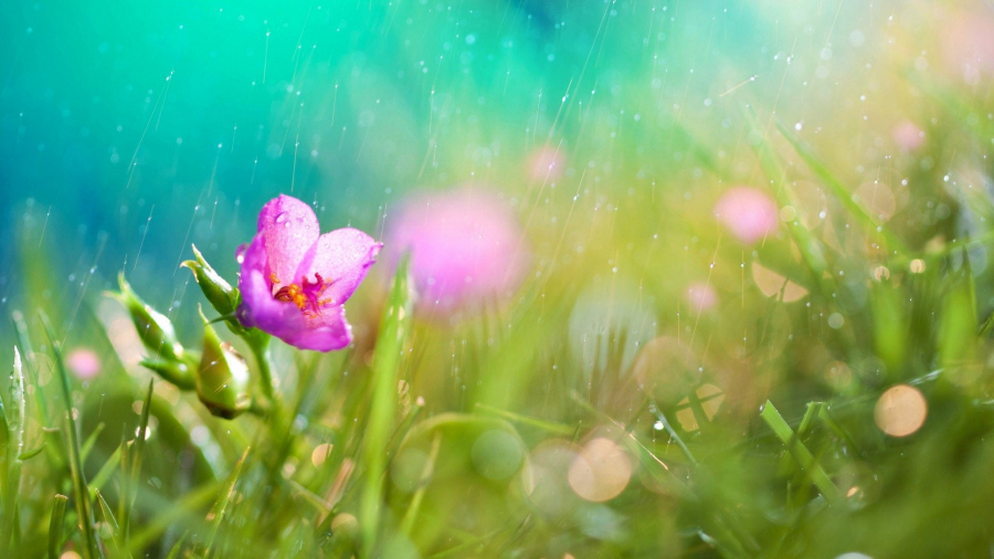 Empty