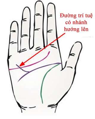 Người có đường chí tuệ hướng lên luôn may mắn 