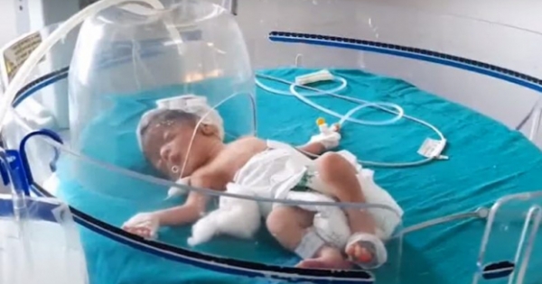 Đứa trẻ được chú chó hoang cứu sống từ dưới cống.
