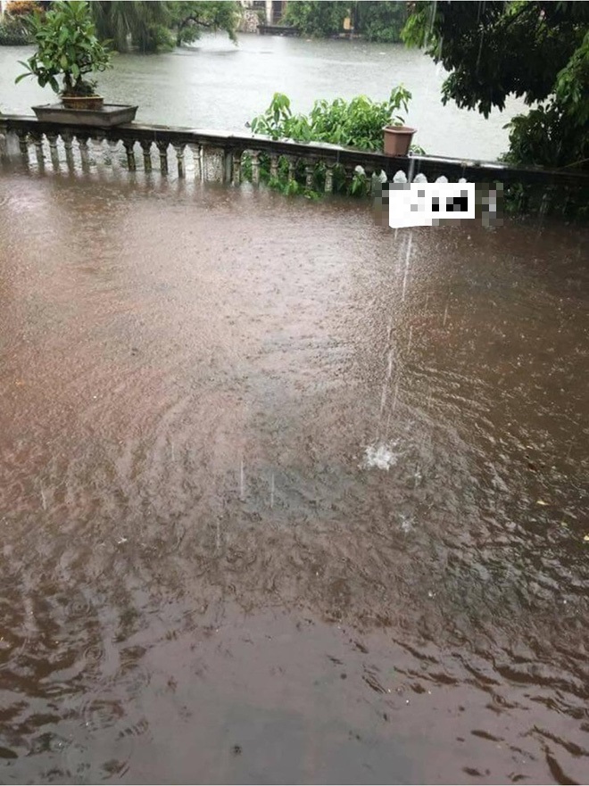 Mưa ngập sân nên anh chàng mang cả gà vào đặt lên giường ngủ.