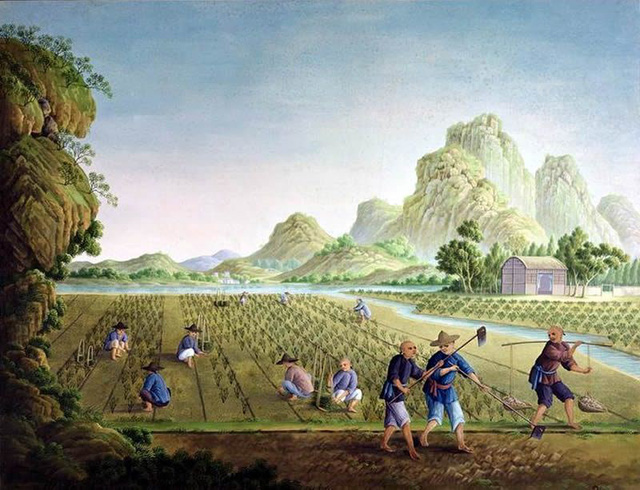 nguoi nong dan