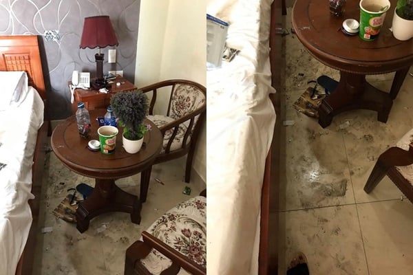 Cặp đôi lén mang thú cưng vào khách sạn rồi cạo lông, bày bừa.
