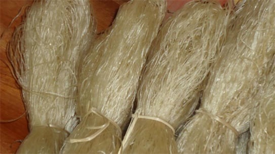 Không chọn miến quá trắng